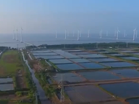 Anh Quốc đánh giá cao tiềm năng hợp tác điện gió tại Việt Nam