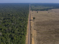 Kỷ lục 1.180 km² rừng Amazon tại Brazil bị phá hủy trong tháng 5
