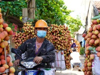 Bắc Giang thay đổi cách tiêu thụ vải thiều