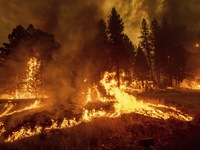 Mỹ: Người dân Greenville tuyệt vọng trong thị trấn bị cháy rừng xóa sổ