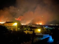 Nắng nóng gây cháy rừng nghiêm trọng tại Tây Ban Nha