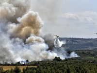 Cháy rừng thiêu rụi hàng chục nhà dân tại Hy Lạp