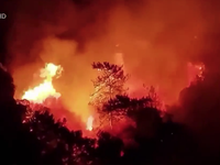 Cháy rừng nghiêm trọng tại Mỹ, Thổ Nhĩ Kỳ, Hy Lạp