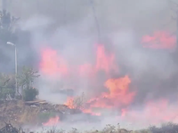 Hàng chục vụ cháy rừng nhấn chìm miền Nam Thổ Nhĩ Kỳ trong biển lửa
