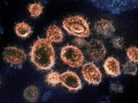 Người đã tiêm vaccine COVID-19 vẫn có thể phát tán virus SARS-CoV-2