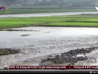 Lũ lụt nghiêm trọng đe dọa gây ra thảm họa thiên tai tại Triều Tiên