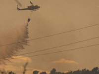 Cháy rừng hoành hành ở Tây Ban Nha khiến hơn 900 người phải sơ tán, 1 người thiệt mạng