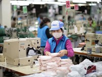 Vietnamese economy to grow despite COVID-19: ADB