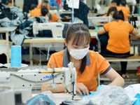 China raw materials supply resumes, but Việt Nam’s export markets close borders
