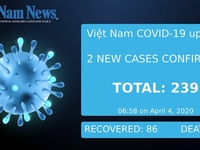COVID-19 figures on April 4