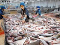 VASEP requests support for seafood exporters
