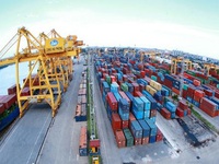 Hai Phong decreases port infrastructure fee by 50% from next year