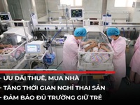 Trung Quốc sẽ ban hành các chính sách thúc đẩy tỷ lệ sinh