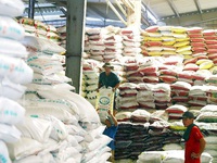 Fertiliser exports set new record