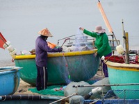 Giá xăng dầu leo thang, ngư dân càng ra khơi càng lỗ