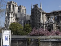Phát hiện nhiều ngôi mộ cổ trong quá trình xây dựng lại Nhà thờ Đức Bà Paris
