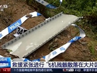 Điều tra tại hiện trường vụ rơi máy bay ở Trung Quốc gặp khó khăn do địa hình rừng núi, trời mưa