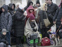 Dự kiến có khoảng 5 triệu người Ukraine sơ tán, châu Âu viện trợ bổ sung 500 triệu Euro