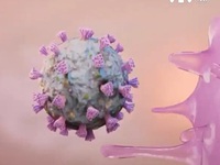 Thử nghiệm lây nhiễm chủ động trên người với virus SARS-CoV-2