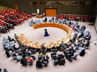 LHQ bàn việc hạn chế quyền phủ quyết của 5 thành viên thường trực Hội đồng Bảo an