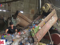 Sống chung với rác, bị tiếng ồn 'tra tấn' ở làng tái chế nhựa phế thải