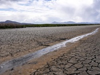 Người dân California tưới nước 1 lần/tuần do hạn hán nghiêm trọng
