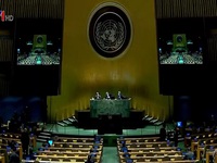 Liên Hợp Quốc thông qua Nghị quyết về an ninh lương thực toàn cầu