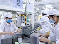 Vietnamese economy rebounds but challenges remain