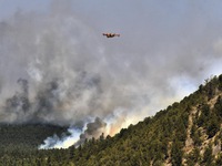 Tổng thống Mỹ Biden phê chuẩn tuyên bố thảm họa do cháy rừng ở bang New Mexico