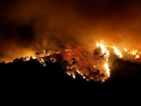 Cháy rừng ở miền Nam Tây Ban Nha khiến 3 người bị thương, một thị trấn phải sơ tán
