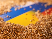 Liên Hợp Quốc phối hợp mở lộ trình vận chuyển lương thực ở Ukraine