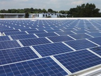 Khuyến cáo doanh nghiệp khi Hoa Kỳ xem xét miễn thuế với pin năng lượng mặt trời
