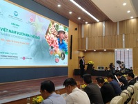 Forum seeks to promote Vietnamese lychees in global market