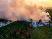 Nam Âu chật vật ứng phó với cháy rừng sau gần một tuần nắng nóng đỉnh điểm