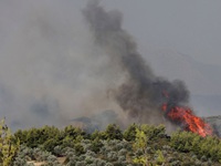 Sóng nhiệt tại châu Âu lan đến Ba Lan, Hy Lạp gây cháy rừng
