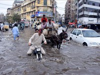 Thành phố lớn nhất của Pakistan tê liệt do mưa lớn