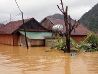 Natural disasters developing complicatedly, unpredictably this year: forecaster