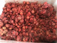 Lâm Đồng: Tràn lan dâu tây không rõ nguồn gốc