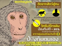 Thái Lan lên kế hoạch tiêm vaccine phòng bệnh đậu mùa khỉ