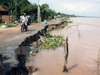 Project helps strengthen Mekong Delta’s resilience against climate change
