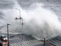 Nhật Bản: Bão Muifa gây mưa to và gió mạnh tại Okinawa