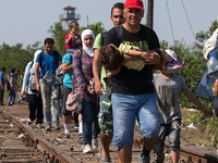 Tình trạng di cư bất hợp pháp gia tăng ở châu Âu