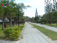 Bàn giao hơn 2 héc ta đất bờ biển Nha Trang cho nhà nước quản lý