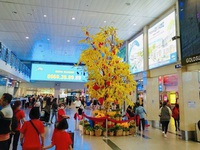 Sân bay Tân Sơn Nhất đón hơn 200.000 lượt khách trong 2 ngày đầu năm Quý Mão