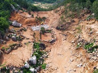 Phá rừng phòng hộ trên núi Thị Vải, 3 người bị phạt gần 600 triệu đồng
