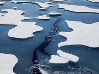 El Nino mạnh hơn khiến băng Nam Cực tan chảy không thể đảo ngược