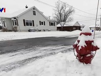Miền bắc nước Mỹ chuẩn bị đón bão tuyết kỷ lục