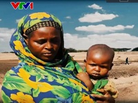 Nguy cơ hàng triệu người ở Đông Phi rơi vào cảnh chết đói vì hạn hán