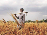 Vietnam, Indian agricultural production estimated at record high