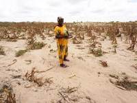 Vùng Sừng châu Phi mất an ninh lương thực nghiêm trọng chưa từng có